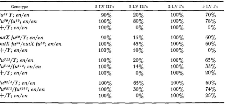 TABLE 3 Frequency of occurrence of triplications of partial or completely formed LV I l l  and LV I 