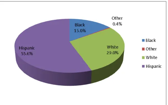 Figure 8:  Janet‘s School‘s Ethnic Representation.  