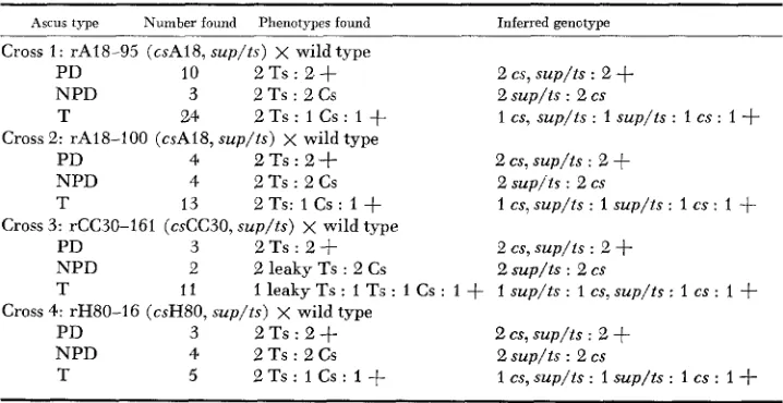 TABLE 5 