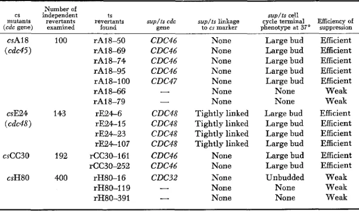 TABLE 4 