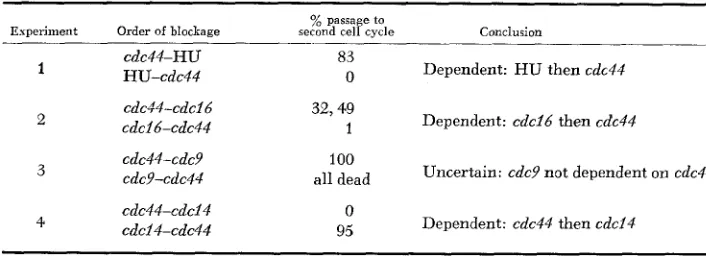 TABLE 6 