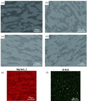 Figure 1.  SEM images and EDS mappings of as-rolled Mg-8Li-xAl alloys: (a) Mg-8Li (b) Mg-8Li-2Al; (c) Mg-8Li-3Al; (d) Mg-8Li-4Al; (e and f) Mg-8Li-3Al, EDS maps