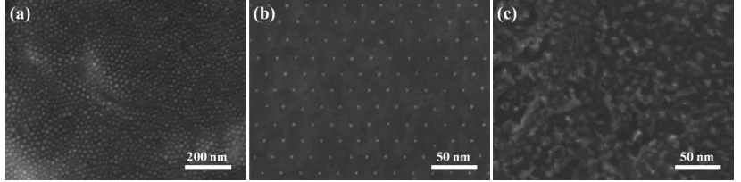 Figure 1. SEM images of (a) as-prepared BC nanopatterns, (b) BC-patterned Pt-Np arrays and (c) the JM 20% catalysts with a same Pt loading as the Pt-Np arrays