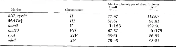 TABLE 3 