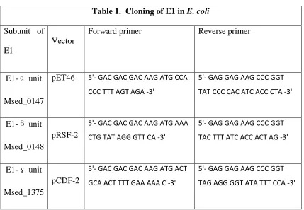 Table 1.  Cloning of E1 in E. coli 