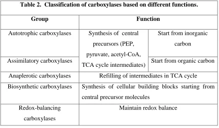Table 2.  Classification of carboxylases based on different functions. 