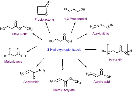 Figure 4.  3-hydroxypropionate (3-HP) as precursor for valuable chemicals (Adapted from (83))