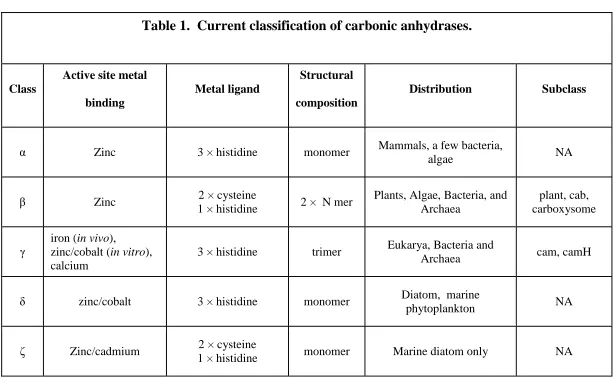 Table 1.  Current classification of carbonic anhydrases.TABLES  