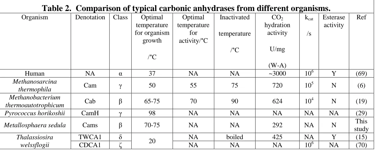 Table 2.  Comparison of typical carbonic anhydrases from different organisms. Organism 
