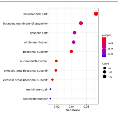 Figure 1.3: Dot plot showing the stressed tolerant female vs. stressed tolerant male (HDE-MDE) GO Biological Process (BP) UP pathways