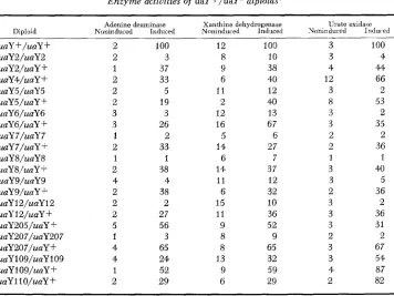 TABLE 4 Enzyme activities of uaY +/uaY- diploids* 