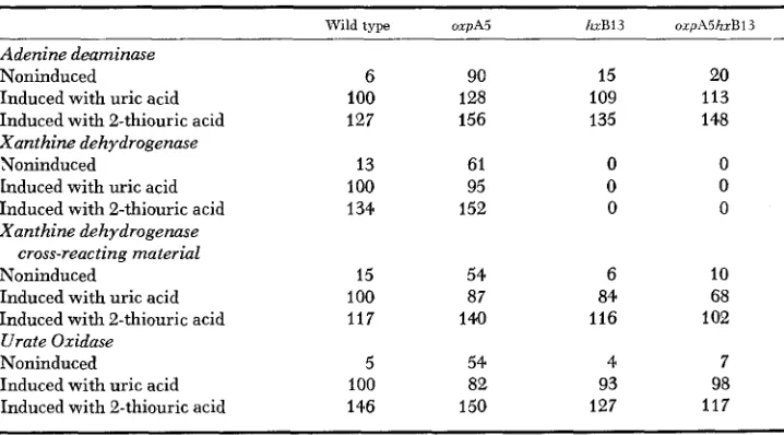 TABLE 5 