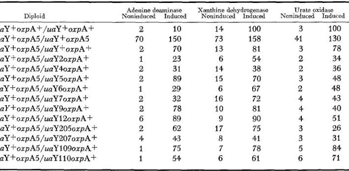 TABLE 6 Complementation of oxpA5 and uaY- mutations* 