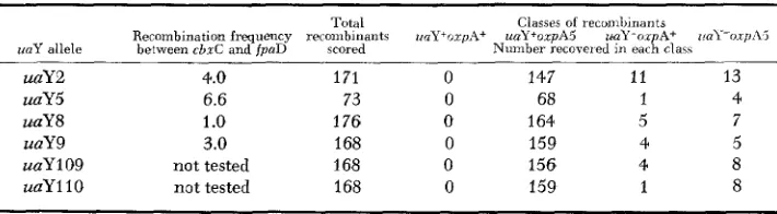 TABLE 7 