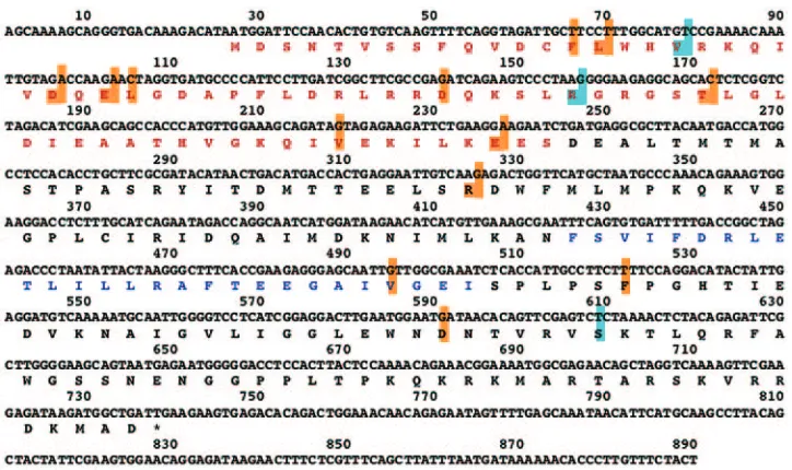 FIG. 1. Rescue of virus genes by competition of RNPs. The virusyield from a mixed transfection with WSN recombinant NS RNP and