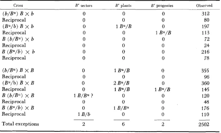 TABLE 7 Markers carried unstable-B crossed with marked in H' exceptions occurring in reciprocal hybrids and progenies from B, testcrossed reciprocally to b and B 