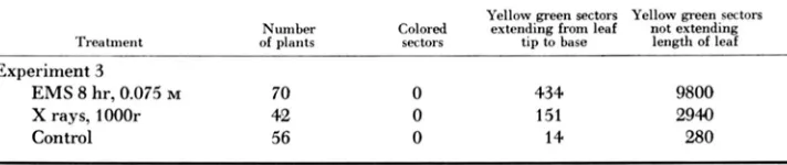 FIGURE &.-Two exceptional dt dt, spm spm, and (right) a dilute colored seed with a colorless sector within which are included many type dots