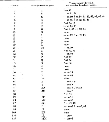 TABLE 1 Results of complementation spot-tests of T2 ambers vs. T4 umbers 