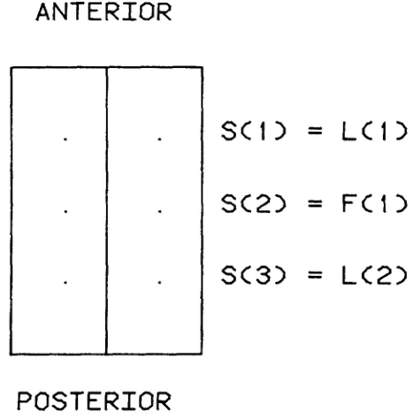 FIGURE 1.-Blastoderm with landmarks and foci. 