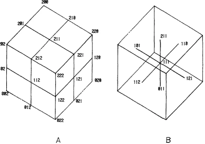 FIGURE 3.-All blastoderm configurations arrayed in a lattice (S = 3). 