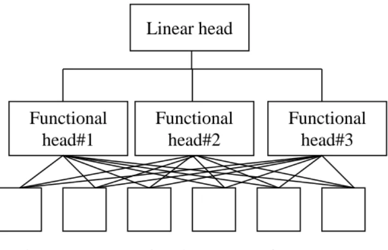Figure 2.7 – Functional structure of management  