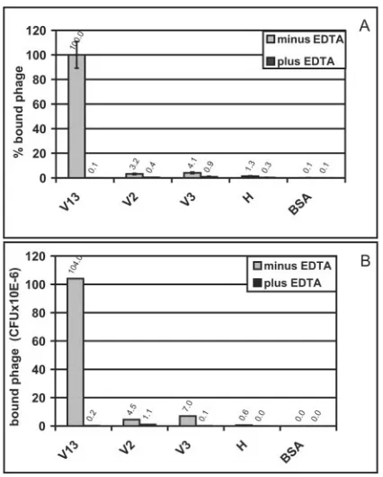 FIG. 2. Binding of fusion phage to HRV2. VLDLR modules andmodule combinations as indicated were expressed as fusion phage, and