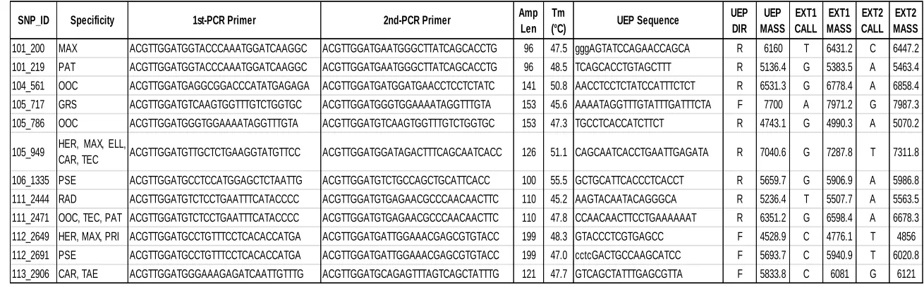 Table 3: Sequenom MassARRAY iPLEX assay design.  Locus specific primers, expected amplified fragment size (Amp 