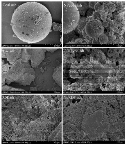 Fig. 2  Scanning electron micrographs of the ash and Ni-ash catalysts