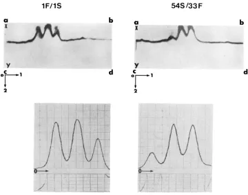 FIGURE 4.-(A) pared from ples before electrophoresis second dimension. The arrow denotes the direction and c-d marks Densitometric traces of electrophoretograms of scutellar extracts prepared from 54S/33F denotes the origin and the Two-dimensional immunoel