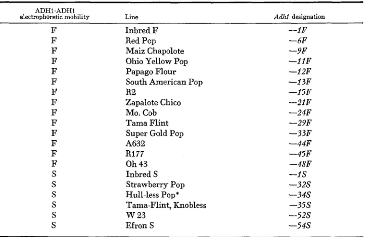 TABLE 1 Adhl genotypes of the maize lines used in this study 