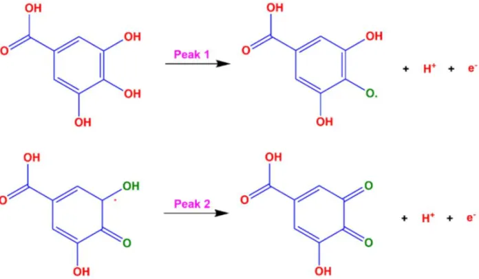 Figure 1. Synthesis of graphene sheet-like activated carbon (GPAC) and its application as an electrode material for sensing catechins [106]