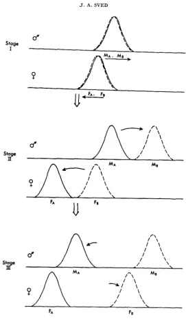 FIGURE 5.-Diagram showing a suggested method for producing mating divergence, which should be especially effective when the male and female scores are not initially aligned