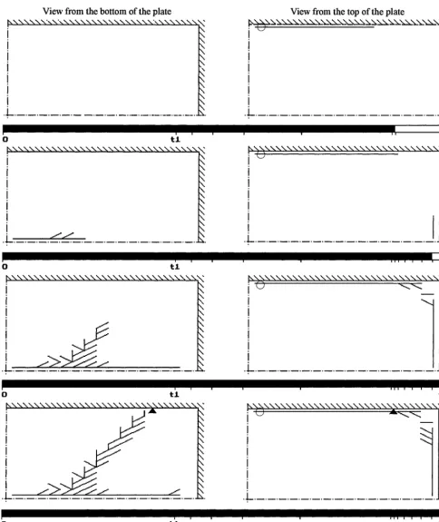 Fig. 3 Cracking stages of the plate in time interval <tl, t2> 