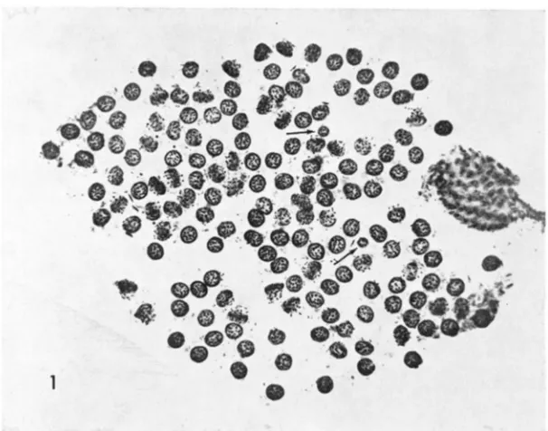 FIGURE 2.-Two male without 