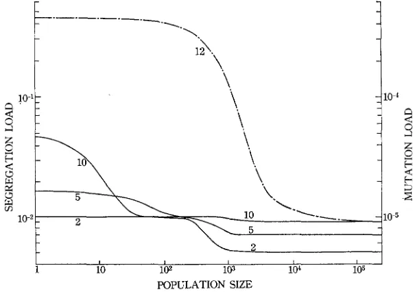 FIGURE 7.-Relations mutation load and the others to the segregation load (cf. Table between the genetic load and population size