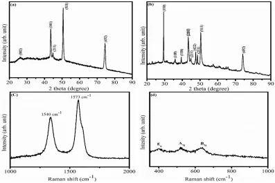 Figure 4. (a) XRD diffraction of VACNTs/SUS, (b) XRD diffraction of TiO2/VACNT/SUS, (c) Raman spectrum of VACNTs/SUS and (d) Raman spectrum of TiO2/VACNT/SUS