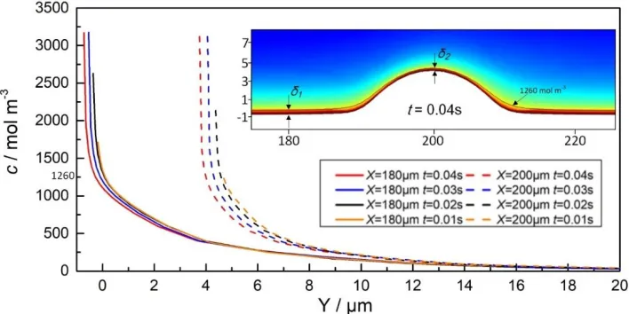 Figure 6.  Ion concentration distribution along the Y axis at X = 200 μm (φa = 11 V, vi = 4 m s−1, and t = 100 ms)