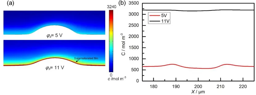 Figure 8.  Comparison of the distribution of the ion concentration at 5 and 11 V (vi = 4 m s−1 and t = 250 ms)