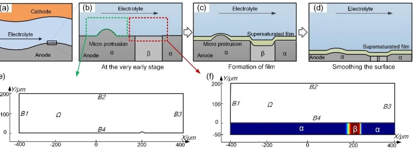 Figure 2.  Development of the geometric model. (a) Schematic of the ECM inter-electrode gap