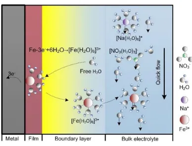 Figure 3. Schematic illustration of the electrode reaction kinetics in ECM  