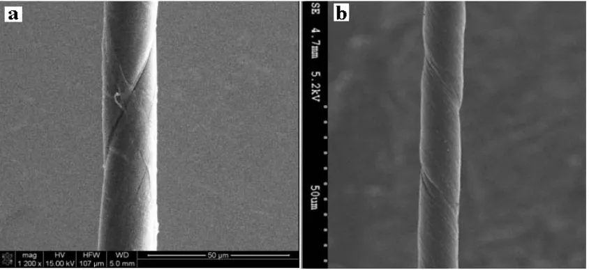 Figure 6. SEM images of PU/CNT structures using the current approach: (a) The initial formation of PU matrix and CNTs; (b) A sliver structure of PU/CNT composite