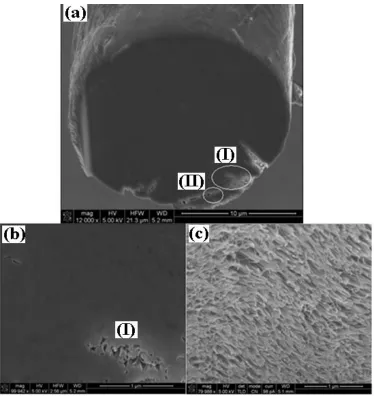 Figure 8. Morphology of the cross-sections of  pure CNT and PU/CNT composite yarns using SEM-FIB: (a) Cross-section of a PU/CNT composite yarn with some defects (I, II) near the circumference; (b) An enlargement of the cross-sections extracted from (a) at 