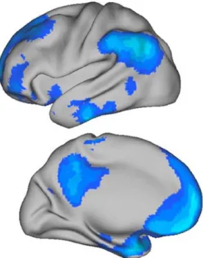 FIGURE 2. The brain’s default network was originally identified in a meta-analysis that mapped brain regions more active in passive as compared to active tasks  (of-ten referred to as task-induced deactivation)