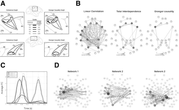 Figure  2.  From  static  to  dynamic  functional  networks.  A.  Beta  oscillatory  networks  in  monkey  sensorimotor  cortex  as  revealed  from  undirected  Coherence  (Left)  and  directed  Granger  causality  (Right)  FC  analyses  for  LFP  recordin
