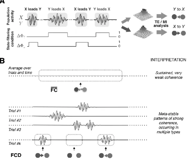 Figure 4. Transient information routing patterns. A. Oscillatory events in vivo are highly  transient and occur at stochastic times (Xing et al., 2012)