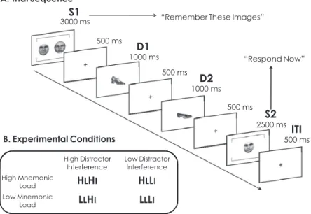 Figure 1. A: Time course of one trial of delayed recognition working memory task. Face and shoe working memory trials were intermixed