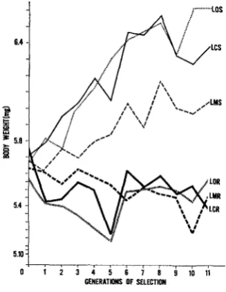 FIGURE 3.-Selection response dation Strain to various combinations ficial selection and X-irradiation