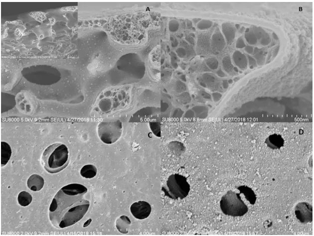 Figure 1.  Schematic for the fabrication of Prussian Blue covered GOD-interlocked porous PSF membranes