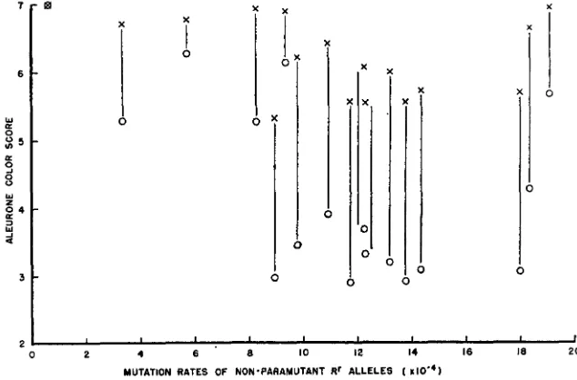 TABLE 1 Nature of mutants from Rr alleles 