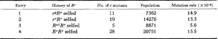 TABLE 5 Mutation rates of paramutant R alleles 